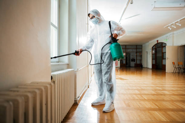 Best Fumigation Services  in Tonto Basin, AZ